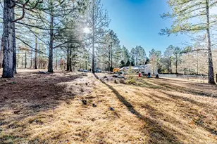 62 Scooter Ln, Cameron, NC 28326 - Photo 8