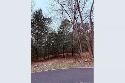 5018 Mockingbird Lane N, Sanford, NC 27332 - Photo 2