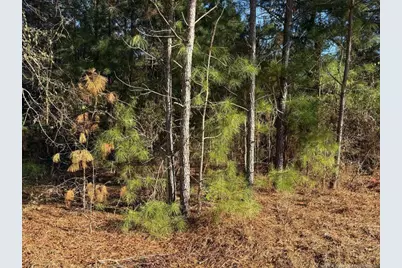 3237 Old Stage Road S, Erwin, NC 28339 - Photo 4