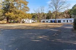 447 T Johnson Rd, Carthage, NC 28327 - Photo 48