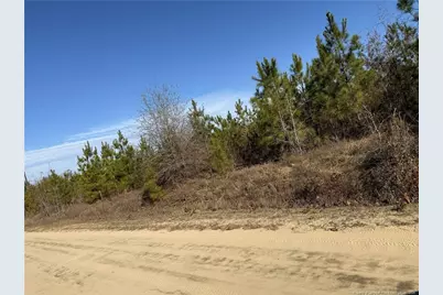 Tbd Plantation Road, Laurinburg, NC 28352 - Photo 4