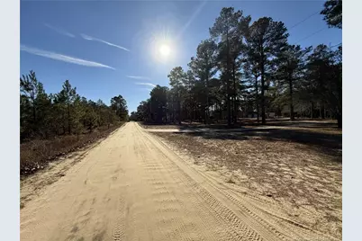 Tbd Plantation Road, Laurinburg, NC 28352 - Photo 6