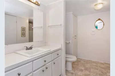 253 Butters Cemetery Road, Bladenboro, NC 28320 - Photo 14