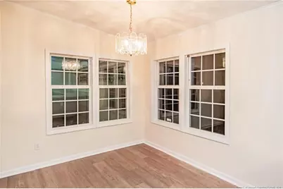 41 Dixie Trail Road, Lumber Bridge, NC 28357 - Photo 10