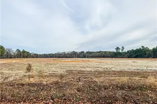 3348 S River School Rd Lot 2, Wade, NC 28395 - Photo 2