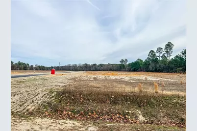 3318 S River School (Lot 3) Road, Wade, NC 28395 - Photo 2