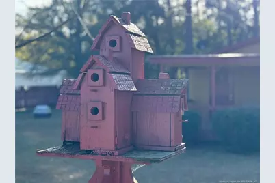 308 Lewis Street, Red Springs, NC 28377 - Photo 4