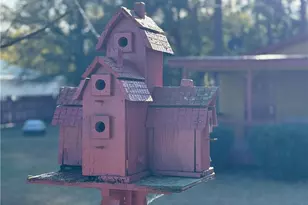 308 Lewis St, Red Springs, NC 28377 - Photo 4