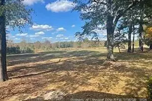 104 Mallard Cove, Vass, NC 28394 - Photo 18