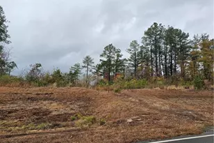 1540 Buster Vee Ln, Fayetteville, NC 28314 - Photo 1