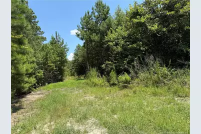 0 Tabor Church Road, Fayetteville, NC 28312 - Photo 6