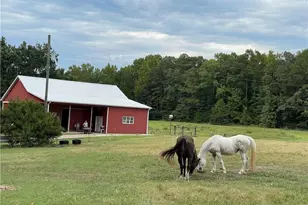 2574 Norrington Rd, Lillington, NC 27546 - Photo 50