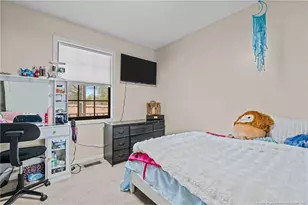 2229 Tingen Rd, Broadway, NC 27505 - Photo 24