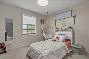 2229 Tingen Rd, Broadway, NC 27505 - Photo 26