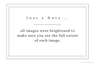 6459 Wire Grass Rd, Orrum, NC 28369 - Photo 22