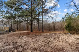 9890 Blackjack Dr, Sanford, NC 27332 - Photo 40