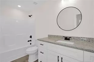 253 Barberry Rd, Raeford, NC 28376 - Photo 28