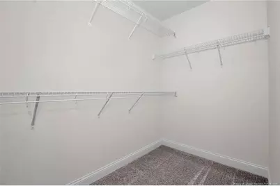 253 Barberry Road, Raeford, NC 28376 - Photo 22