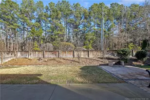 6028 Oak Spring St, Stedman, NC 28391 - Photo 48