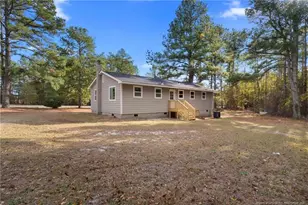 15861 Palmer Rd, Marston, NC 28363 - Photo 4