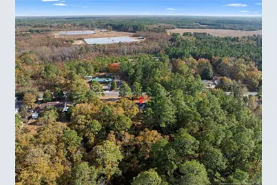 15861 Palmer Road, Marston, NC 28363 - Photo 22