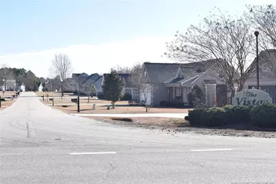 344 Braddock Drive, Lillington, NC 27546 - Photo 48