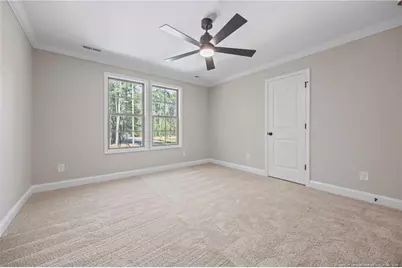 28880 Deercroft Drive, Wagram, NC 28396 - Photo 24