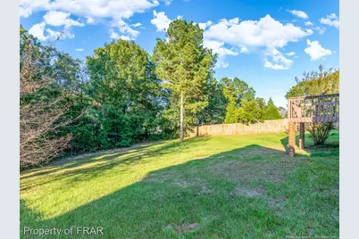 52 Forest Mountain Court, Sanford, NC 27332 - Photo 46