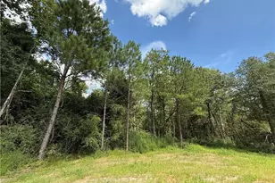 263 Strother Rd, Aberdeen, NC 28315 - Photo 16