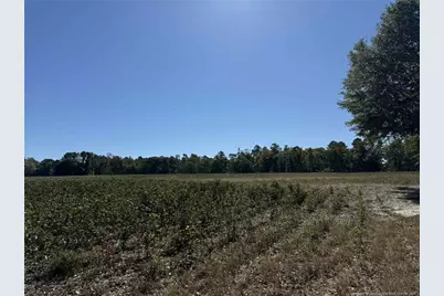 Leggett Road, Fairmont, NC 28340 - Photo 4