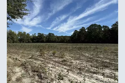 Leggett Road, Fairmont, NC 28340 - Photo 6