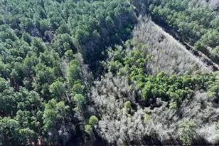 Hwy 130 Hwy, Fairmont, NC 28340 - Photo 1