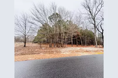 Shelton Beard Road, Fayetteville, NC 28312 - Photo 2
