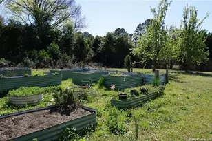 13238 Nc Hwy 87, , NC 28392 - Photo 50