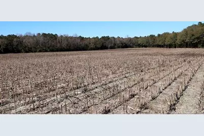 Tbd Stuarts Mill Road, Fairmont, NC 28340 - Photo 8