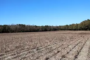 Tbd Stuarts Mill Rd, Fairmont, NC 28340 - Photo 8