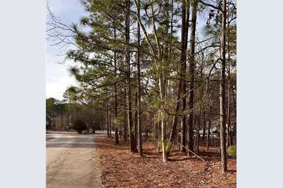 36 Magnolia Court, Sanford, NC 27332 - Photo 2