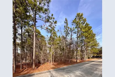 36 Magnolia Court, Sanford, NC 27332 - Photo 4