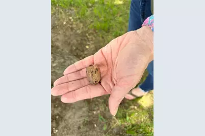 Lot A Pleasant Hope Road, Lumberton, NC 28340 - Photo 6