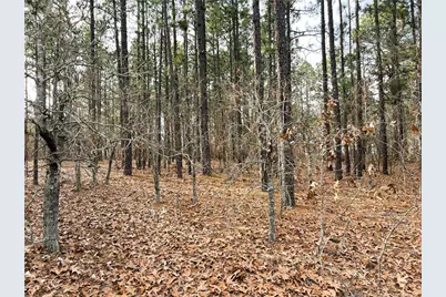 350 Lakeview Lane, Cameron, NC 28326 - Photo 4