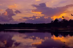 940 Lakewind, Sanford, NC 27332 - Photo 14