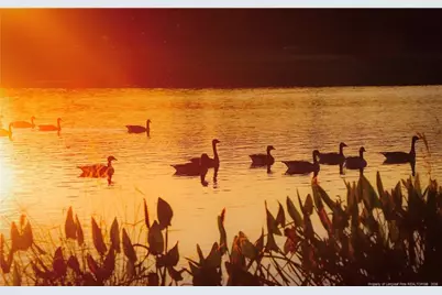 940 Lakewind, Sanford, NC 27332 - Photo 8