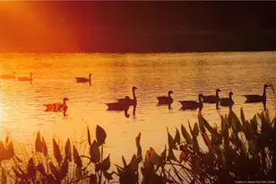 940 Lakewind, Sanford, NC 27332 - Photo 8