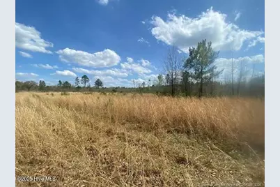 28385 Aberdeen Road, Wagram, NC 28396 - Photo 2