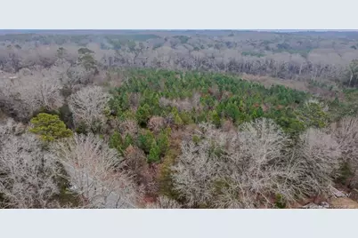 Tbd Flint Hill Church Road, Robbins, NC 27325 - Photo 10