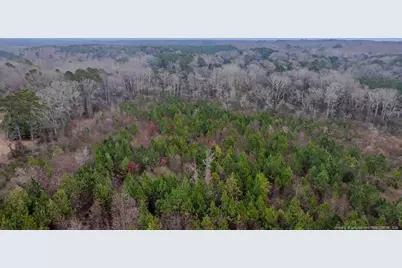 Tbd Flint Hill Church Road, Robbins, NC 27325 - Photo 6