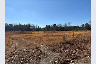 5745 Turnpike Road, Raeford, NC 28376 - Photo 4