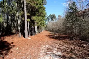 Tbd Nc Hwy 130 Hwy, Fairmont, NC 28340 - Photo 8