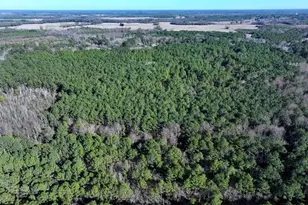 Tbd Nc Hwy 130 Hwy, Fairmont, NC 28340 - Photo 6