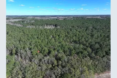 Tbd Nc Hwy 130 Highway, Fairmont, NC 28340 - Photo 4